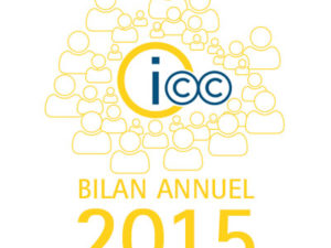 Le bilan 2015 d’Info Conseil Culture en Infographie